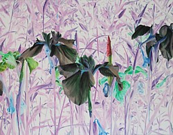 liron sissman, flower painting, art