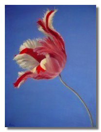 liron art, liron sissman, flower painting, oil painting, Georgia O'Keeffe, Joy