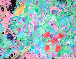 liron sissman, flower painting, art