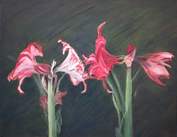 liron sissman, will you be my valentine, flower painting, art, metaphorical nature